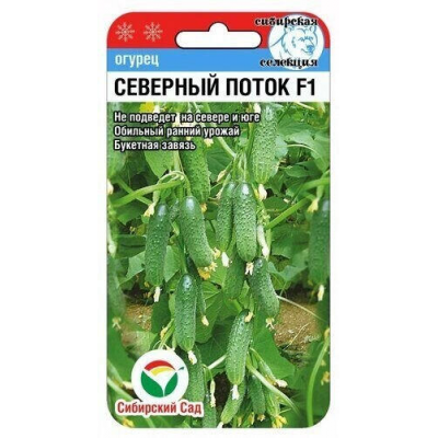 Огурец Северный поток F1 (7 шт) Сиб Сад