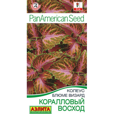 Колеус Блюме Коралловый восход 5шт (Аэлита)