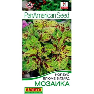 Колеус Блюме Мозаика, семена 5 шт