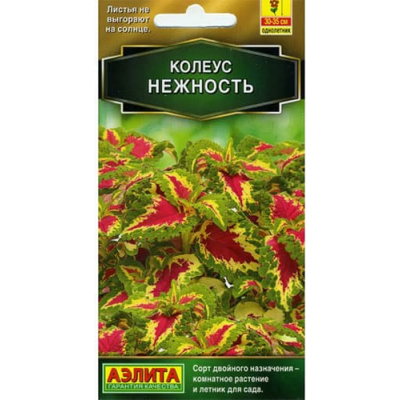 Колеус Блюме Нежность (5 семян) - семена Аэлита