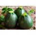 Кабачок Тондо ди Пьяченца, 2г (Sativa, Италия) -2шт