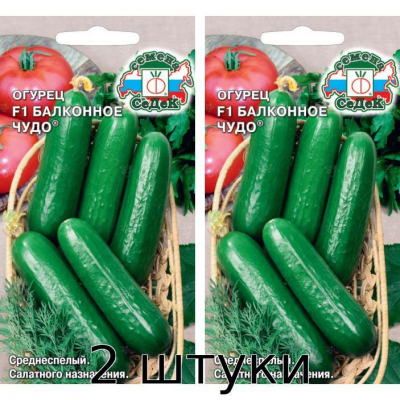 Огурец Балконное Чудо F1, 0,2 г Семена СеДек - 2шт