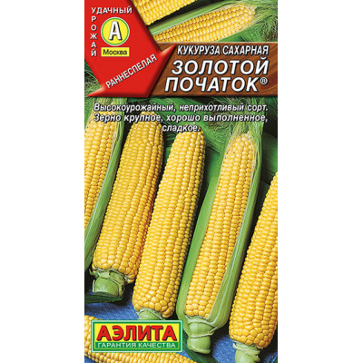 Кукуруза сахарная ультраранняя Золотой початок, 7г (селекция Аэлита)