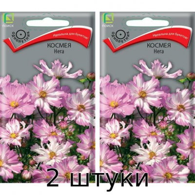 Космея Нега 10 сем. Семена Поиск - 2шт