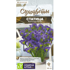 Статица Хипстер Блю, 5 семян (Семена Алтая)