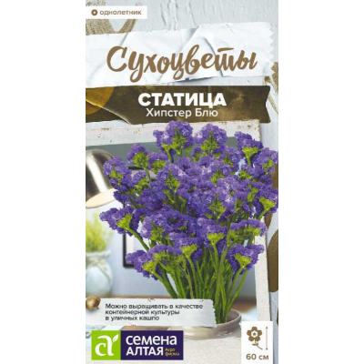 Статица Хипстер Блю, 5 семян (Семена Алтая)