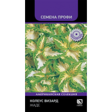 Колеус Визард Жаде 10сем. Семена Поиск