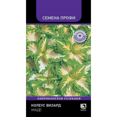 Колеус Визард Жаде 10сем. Семена Поиск