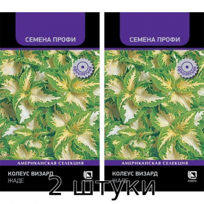 Колеус Визард Жаде 10сем. Семена Поиск - 2шт