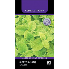 Колеус Визард Голден семена (10 шт) Семена Поиск