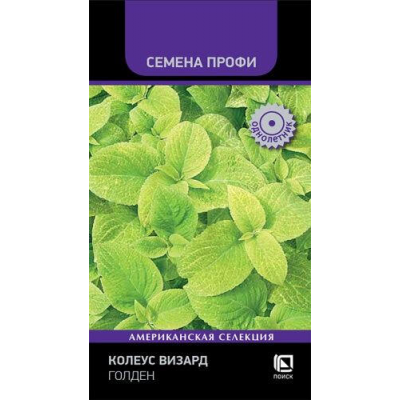 Колеус Визард Голден семена (10 шт) Семена Поиск