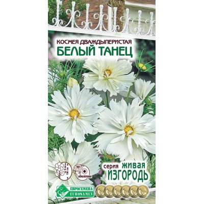 Космея дваждыперистая 