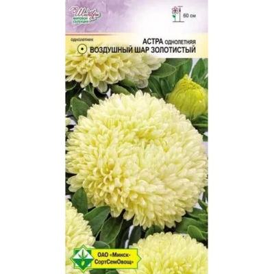 Астра Воздушный шар Золотистый 0.1г Семена MCCO