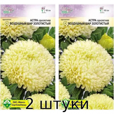 Астра Воздушный шар Золотистый 0.1г Семена MCCO - 2шт