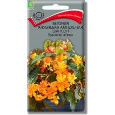 Бегония клубневая ампельная 