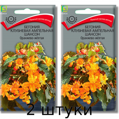 Бегония клубневая ампельная 