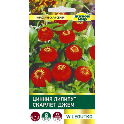Цинния Лилипут Скарлет Джем (Семена W. Legutko) 1 г