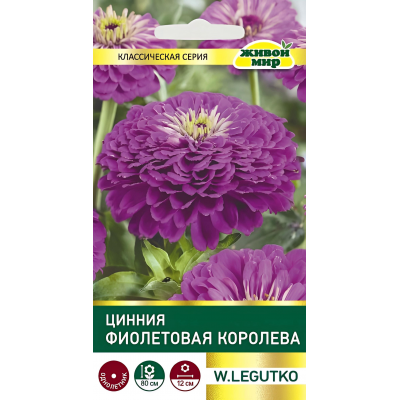 Цинния Фиолетовая королева (Семена W. Legutko) 1гр