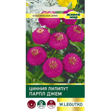 Цинния Лилипут Парпл Джем (Семена W. Legutko) 1гр