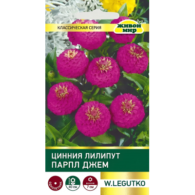 Цинния Лилипут Парпл Джем (Семена W. Legutko) 1гр