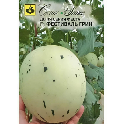 Семена дыни Фестиваль Грин F1, 5сем. (Семко)
