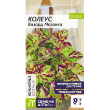 Колеус Визард Мозаика, 5 шт. Семена Алтая
