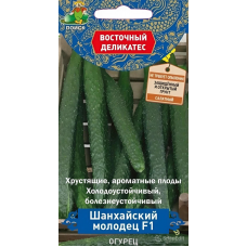 Огурец Шанхайский молодец F1 5шт (Семена Поиск)