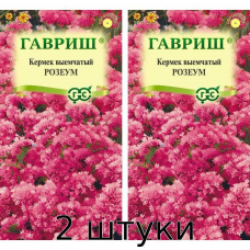 Лимониум Розеум Супербум 0,05гр. Семена Гавриш - 2шт
