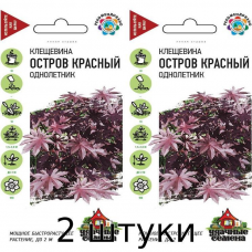 Клещевина Остров Красный, 5сем. Семена Уральский дачник - 2шт