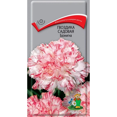 Гвоздика садовая Баэнигна 0,1гр. Семена Поиск