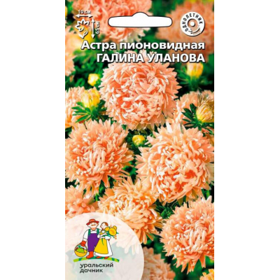 Астра пионовидная Галина Уланова 0,2гр. Семена Уральский дачник