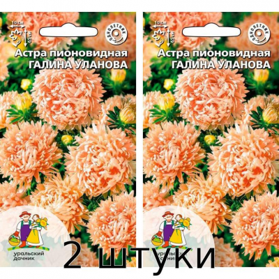 Астра пионовидная Галина Уланова 0,2гр. Семена Уральский дачник - 2шт