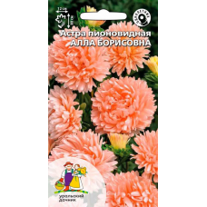 Астра пионовидная Алла Борисовна 0,2гр. Семена Уральский дачник