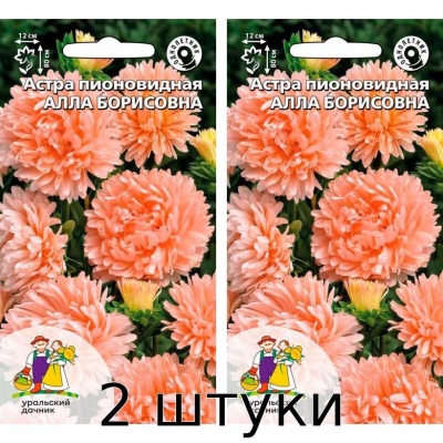 Астра пионовидная Алла Борисовна 0,2гр. Семена Уральский дачник - 2шт