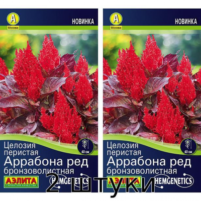 Целозия перистая Аррабона ред бронзоволистная 7сем. Семена Аэлита - 2шт