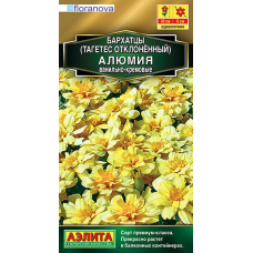 Бархатцы Алюмия ванильно-кремовые 7сем. Семена Аэлита