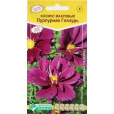 Космос махровый 