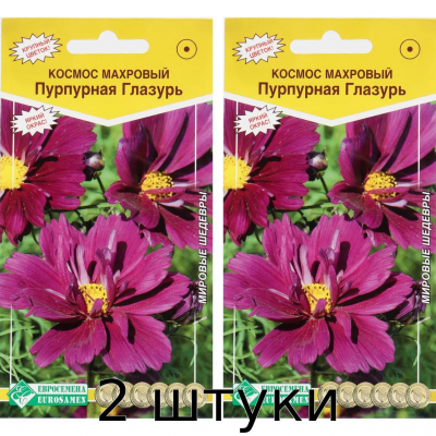 Космос махровый 