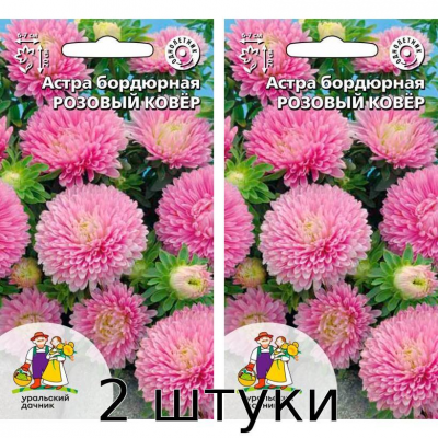 Астра бордюрная РОЗОВЫЙ КОВЕР 0,2гр. Семена Уральский дачник - 2шт