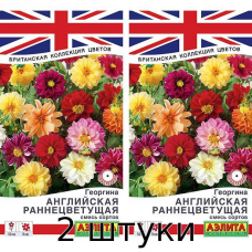 Георгина Английская раннецветущая, смесь сортов 0,3гр. Семена Аэлита - 2шт