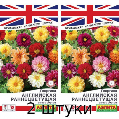 Георгина Английская раннецветущая, смесь сортов 0,3гр. Семена Аэлита - 2шт