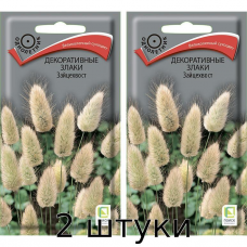 Зайцехвост декоративный злак для сухих букетов 0,1гр. Семена Поиск - 2шт