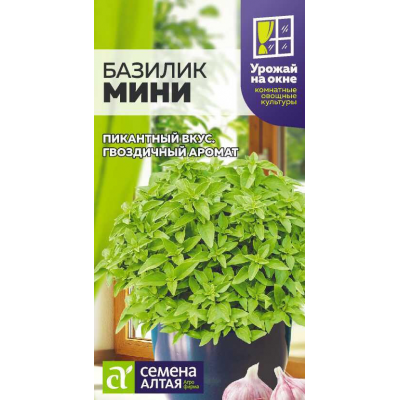 Базилик карликовый 