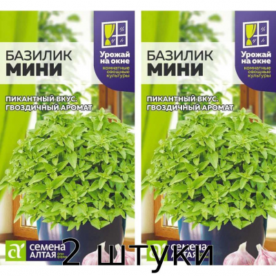 Базилик карликовый 