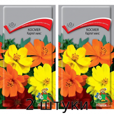 Космея Карпет, микс 0,2гр. Семена Поиск - 2шт