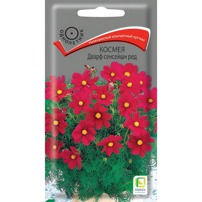 Космея Дварф Сенсейшн Ред 0,2гр. Семена Поиск