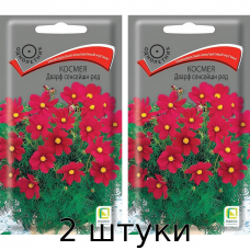 Космея Дварф Сенсейшн Ред 0,2гр. Семена Поиск - 2шт