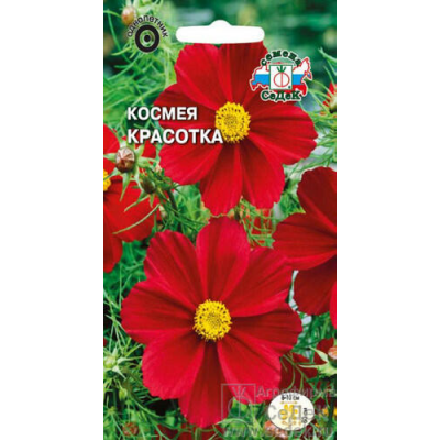 Космея Красотка 0,03гр. Семена СеДек