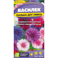 Василек Полька Дот низкорослый, семена 0,3гр. Семена Алтая