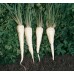 Петрушка корневая Игл, 1гр. Семена КЛМ